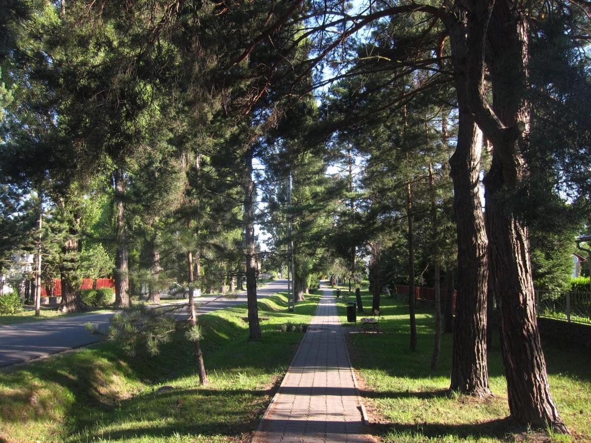 Tutijó Házikó Balatonfenyves Exterior foto